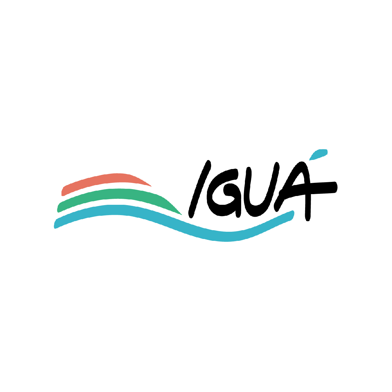 Iguá-26
